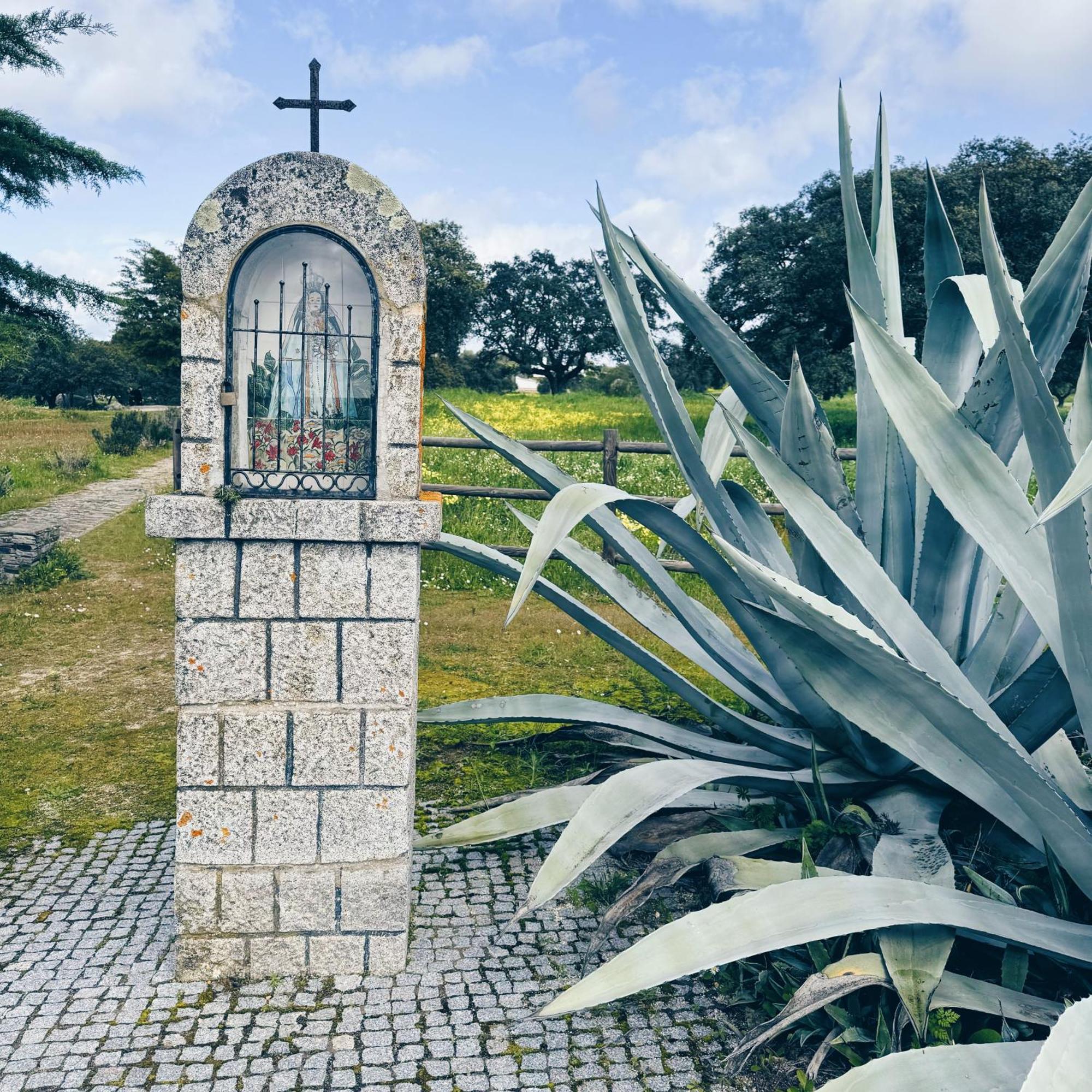 Casas Da Olaria *